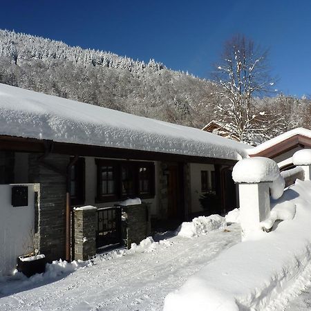 Haus Zur Eule Apartment ทอดท์เนา ห้อง รูปภาพ