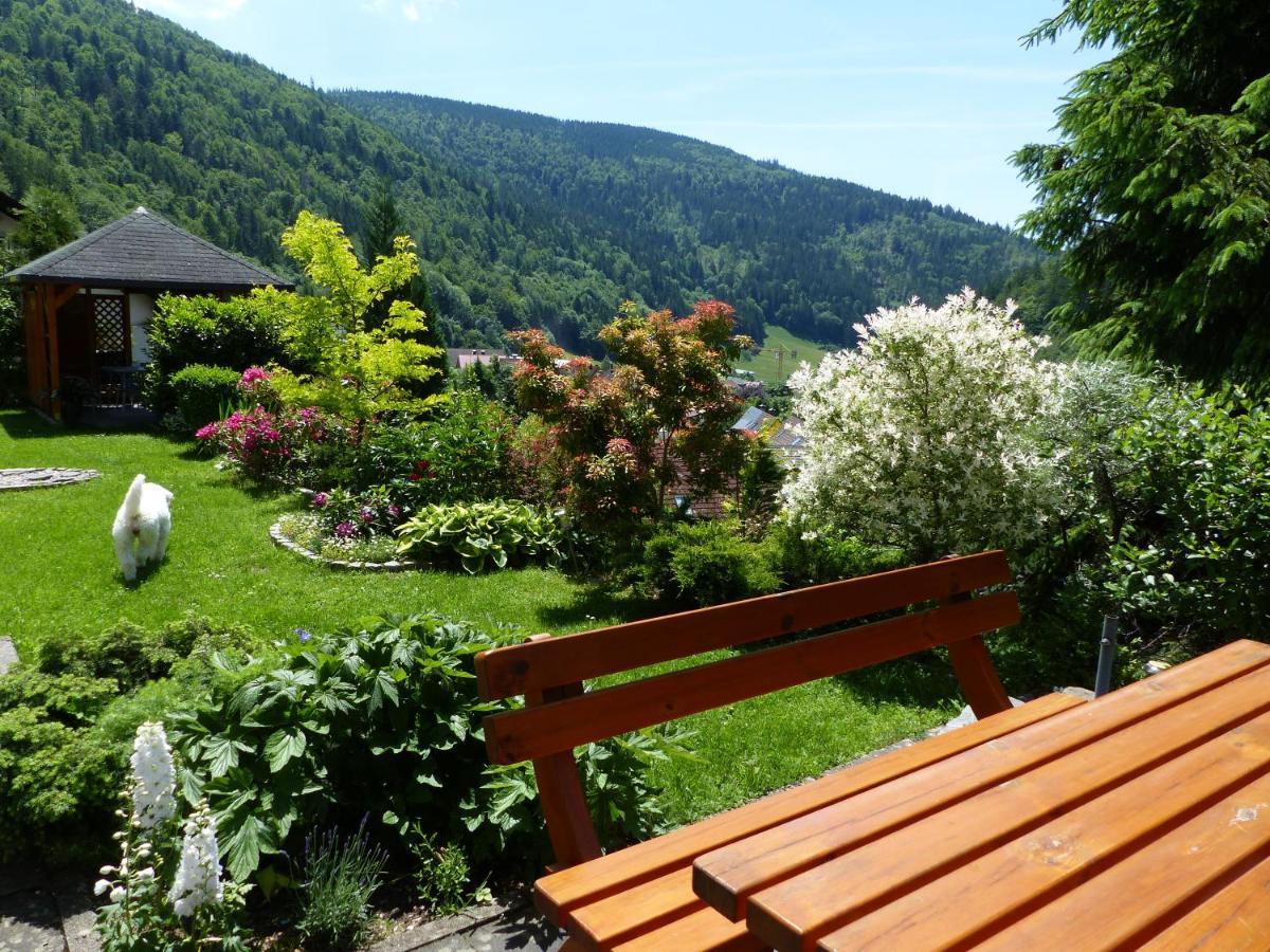 Haus Zur Eule Apartment ทอดท์เนา ภายนอก รูปภาพ